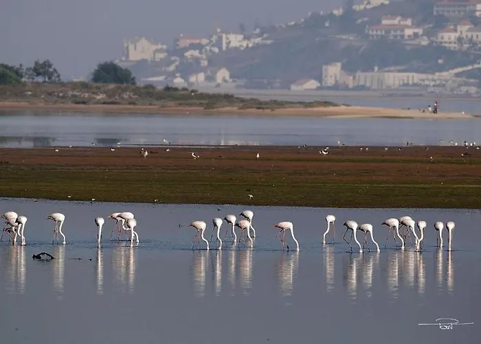 Quinta Atia - Luxury With Private Pool